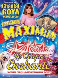 Le Cirque Maximum. Du 13 au 14 mai 2015 à Rambervillers. Vosges. 